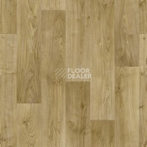Линолеум Tarkett Discovery RIGARD 2 фото 1 | FLOORDEALER